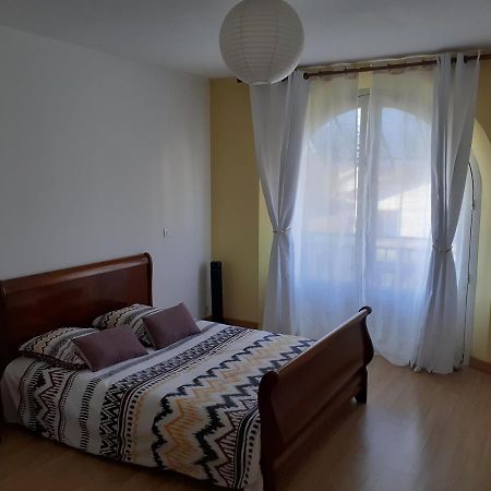 Appartement Spacieux Et Lumineux Oloron-Sainte-Marie Bagian luar foto